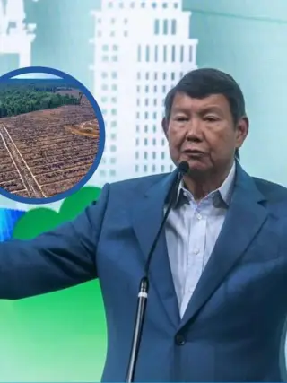Wacana Biofuel di 12,7 Juta Hektare Hutan Terdegradasi Menuai Kritik