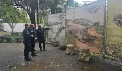 Kontroversi Buaya Penjara: Israel Nekat Gunakan Reptil untuk Awasi Tahanan Palestina
