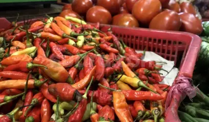 Harga Cabai Rawit Merah Tembus Rp100.700 per Kilogram, Tertinggi dalam Sejarah