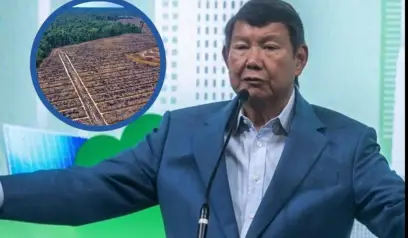 Wacana Biofuel di 12,7 Juta Hektare Hutan Terdegradasi Menuai Kritik