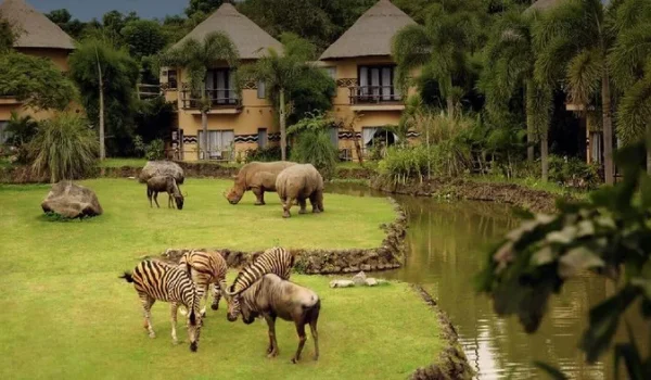 Ilustrasi (dok Mara River Safari Lodge)