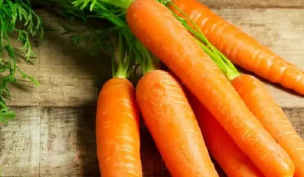 5 Makanan Sehari-hari untuk Jaga Kesehatan Mata, Bukan Cuma Wortel