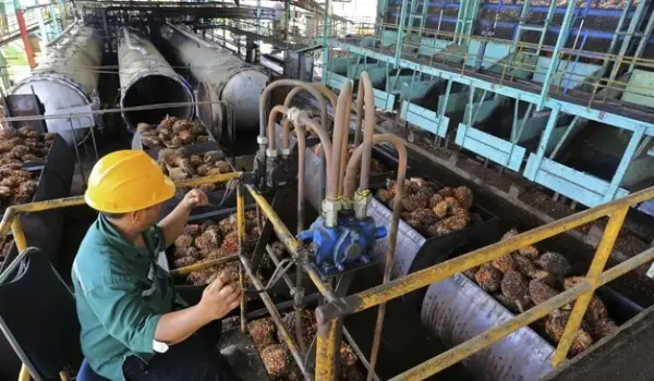 Industri manufaktur Indonesia.