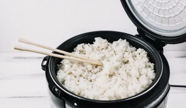 ilustrasi rice cooker.
