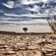 Gorila El Nino Ancam Indonesia
