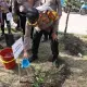 Program Penanaman 10 Juta, Kapolres Pelabuhan Makassar Tanam Pohon di Pulau Barrang Lompo