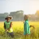 Jadi Lumbung Pangan Nasional, Ini 5 Daerah di Sulsel dengan Produksi Padi Terbanyak di 2023