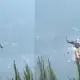 2 Helikopter Tabrakan Maut di Udara saat Padamkan Kebakaran Hutan Yunani, 2 Awak Tewas