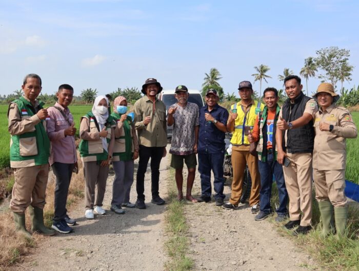 Jaga Ketahanan Pangan Nasional, Kementan dan Pemkab Pinrang Gelar Pengendalian Hama Serentak di 6 Kecamatan