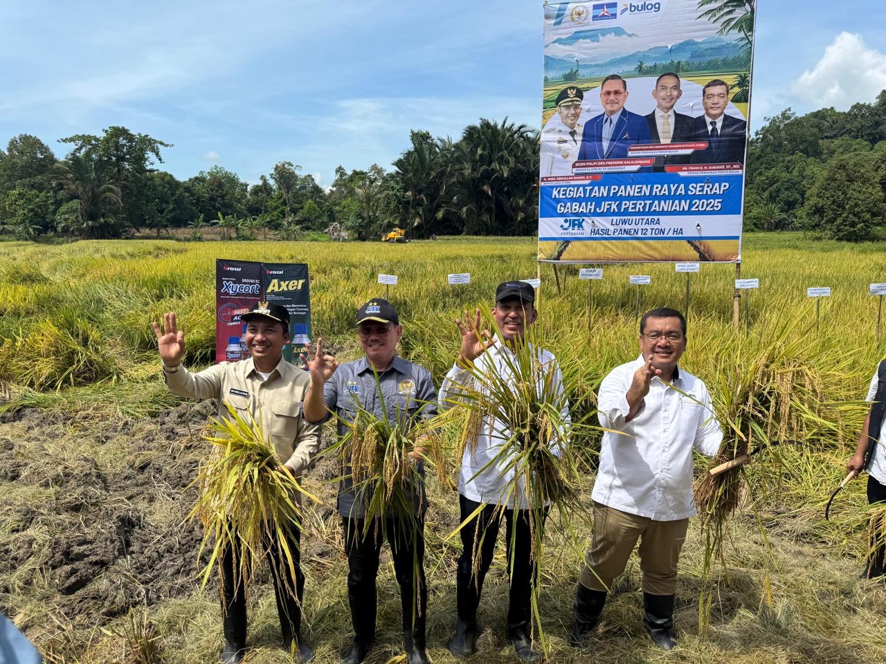 Suasana panen raya bersama dewan pengawas Bulog di Kabupaten Luwu Utara